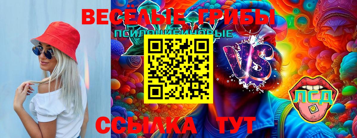 Галлюциногенные грибы Psilocybe Бутурлиновка