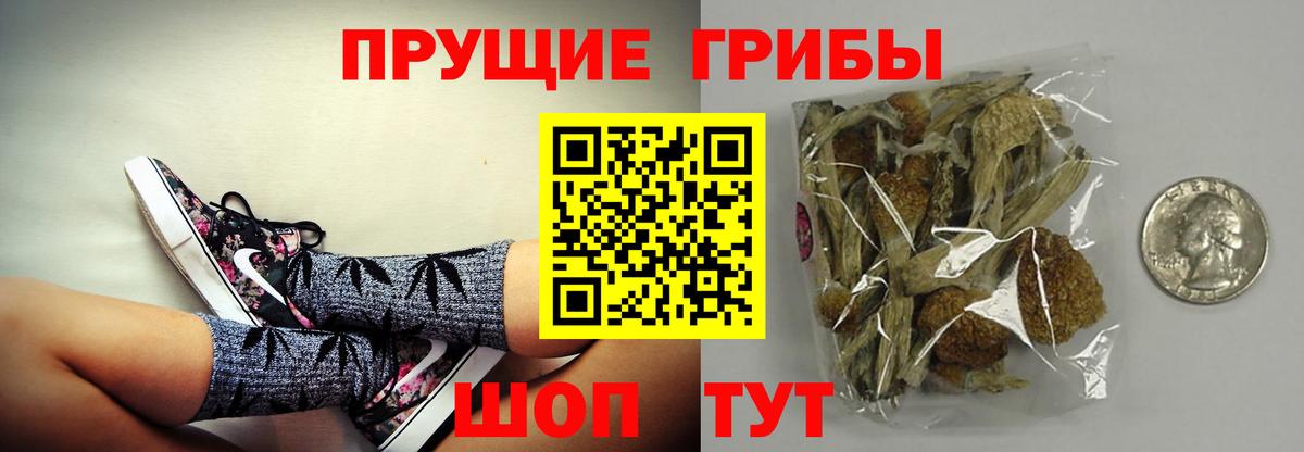 Галлюциногенные грибы прущие грибы  купить наркотик  Бутурлиновка  Вход с VPN 